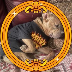 Meet your Posher, Gerry